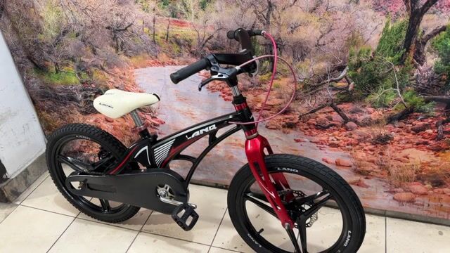 Xe trẻ em LanQ 18 inch. Mua bán Xe đạp tại Quận Tân Bình Tp Hồ Chí Minh được đăng bởi Bbb hình 1