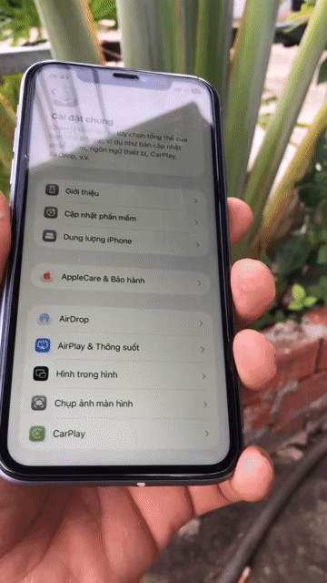 Apple iPhone 11 256GB Tím Đã qua sử dụng. Mua bán Điện thoại tại Huyện Hớn Quản Bình Phước được đăng bởi thien hình 1