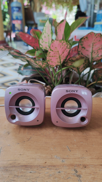 Loa vi tính Sony Hồng. Mua bán Tivi, Âm thanh tại Quận 7 Tp Hồ Chí Minh được đăng bởi Vy Vy hình 1