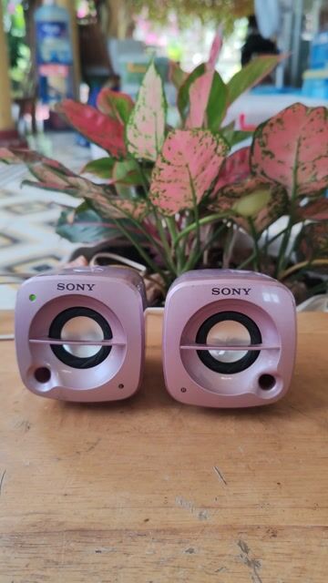 Loa vi tính Sony Hồng. Mua bán Tivi, Âm thanh tại Quận 7 Tp Hồ Chí Minh được đăng bởi Vy Vy hình 1