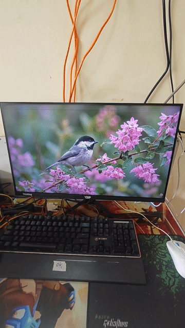 Màn hình máy tính 24 inch Full HD 75Hz. Mua bán Phụ kiện (Màn hình, Chuột...) tại Thành phố Buôn Ma Thuột Đắk Lắk được đăng bởi VI TÍNH QUỐC NGUYÊN  hình 1