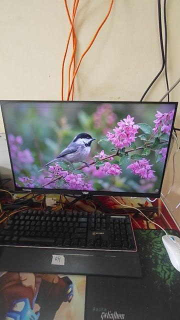 Màn hình máy tính 24 inch Full HD 75Hz. Mua bán Phụ kiện (Màn hình, Chuột...) tại Thành phố Buôn Ma Thuột Đắk Lắk được đăng bởi VI TÍNH QUỐC NGUYÊN  hình 1