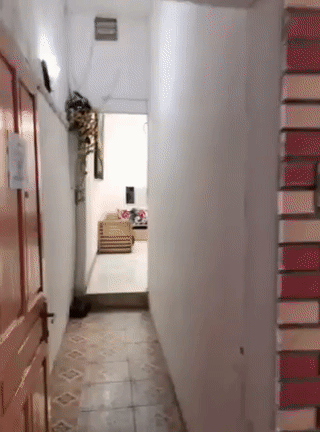 Cho thuê Nhà ở Quận Đống Đa Hà Nội diện tích 17 m² giá 5,5 triệu/tháng