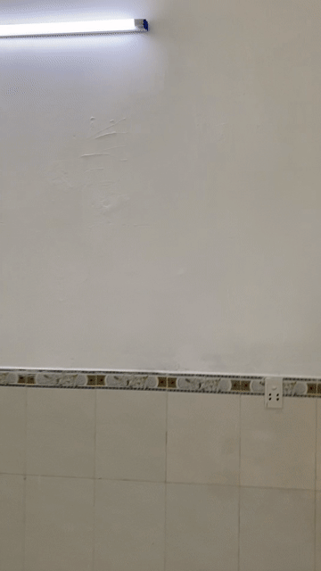 Cho thuê Nhà ở Huyện Bình Chánh Tp Hồ Chí Minh diện tích 36 m² giá 2,5 triệu/tháng