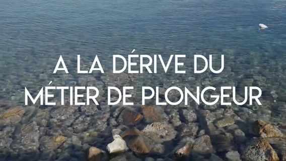 A la dérive du métier de plongeur