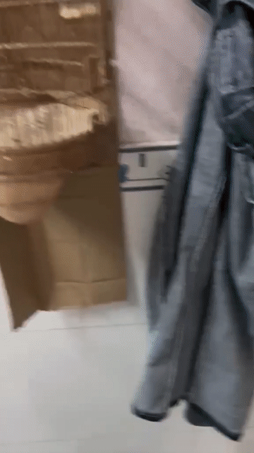 Chim Hút mật họng đen 4 mùa. Mua bán Chim tại Quận Bình Tân Tp Hồ Chí Minh được đăng bởi Thợ Rừng  hình 1