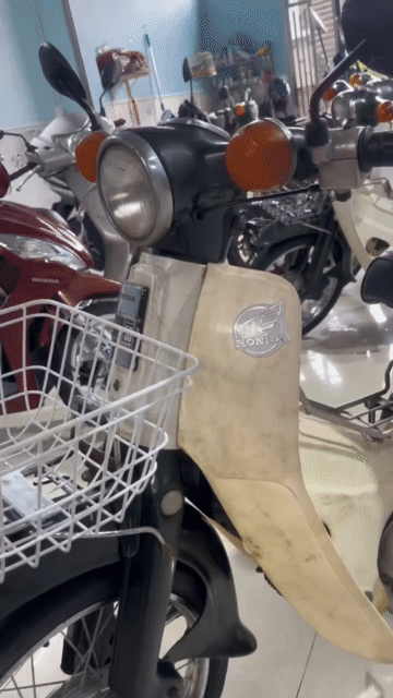BÁN XE HONDA CUB 50CC KIMVÀNG GIỌTLỆ ZIN MỘC BS60 . Mua bán Xe máy tại Thành phố Thủ Đức Tp Hồ Chí Minh được đăng bởi Huy Chien  hình 1