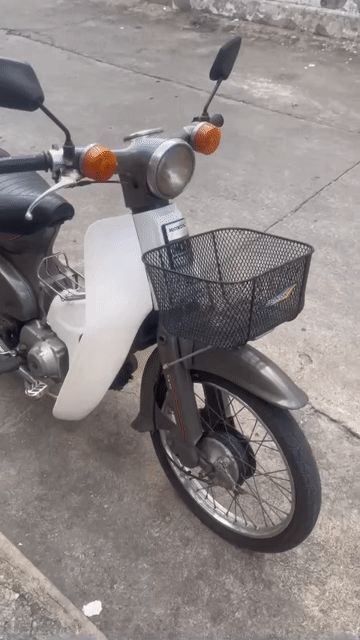 Honda Cub 81 Trắng. Mua bán Xe máy tại Thành phố Dĩ An Bình Dương được đăng bởi Nguyễn Hồng hình 1