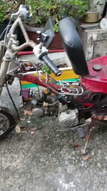 Xe máy MD 100cc màu Đỏ. Mua bán Xe máy tại Quận Tân Phú Tp Hồ Chí Minh được đăng bởi Anh Vĩ hình 1