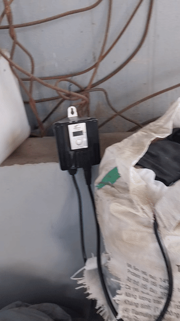 Máy bơm Periha PB 10000 Đen, Cam. Mua bán Đồ chuyên dụng, Giống nuôi trồng tại Huyện Đan Phượng Hà Nội được đăng bởi pbac hình 1