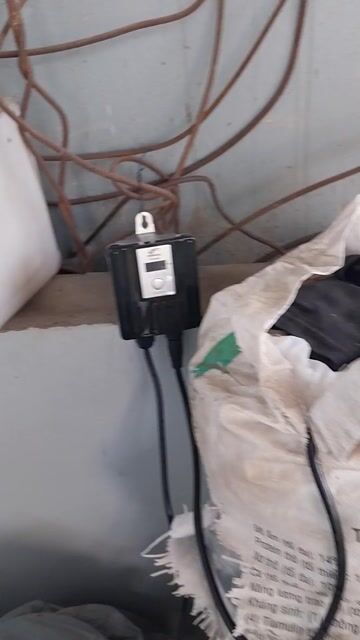 Máy bơm Periha PB 10000 Đen, Cam. Mua bán Đồ chuyên dụng, Giống nuôi trồng tại Huyện Đan Phượng Hà Nội được đăng bởi pbac hình 1