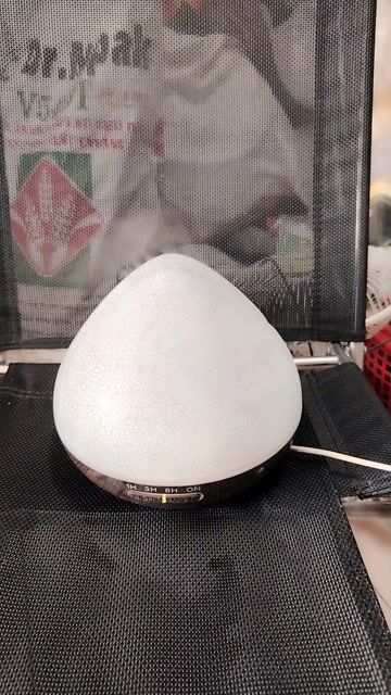 Máy xông tinh dầu màu Trắng. Mua bán Nội thất, đồ gia dụng khác tại Thành phố Biên Hòa Đồng Nai được đăng bởi Hoài Em hình 1