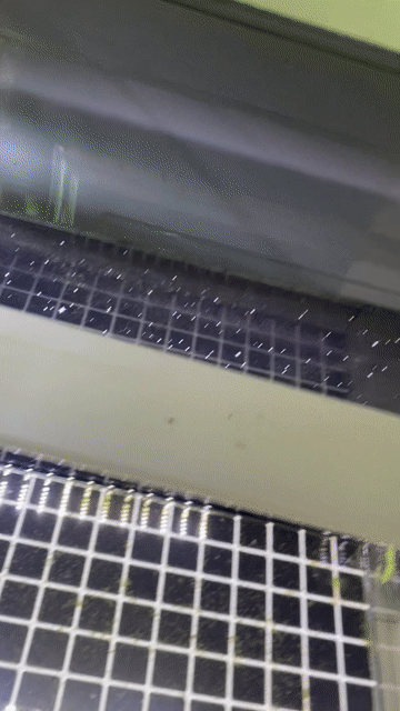 Hồ cá 50x30x30 Đã dán decal. Mua bán Phụ kiện, Thức ăn, Dịch vụ tại Huyện Trảng Bom Đồng Nai được đăng bởi Phuoc hình 1