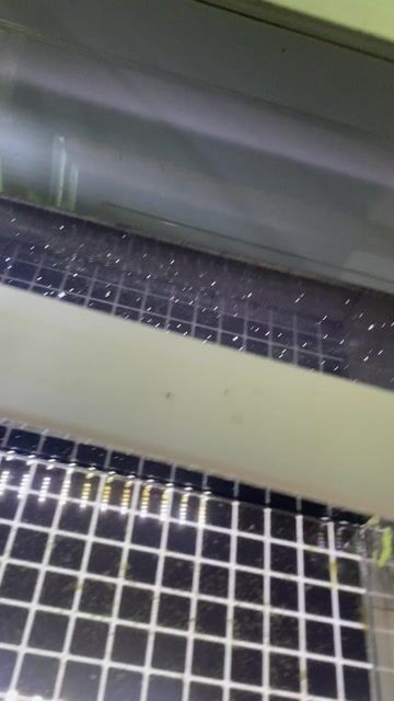 Hồ cá 50x30x30 Đã dán decal. Mua bán Phụ kiện, Thức ăn, Dịch vụ tại Huyện Trảng Bom Đồng Nai được đăng bởi Phuoc hình 1