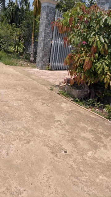 Mua bán Đất Huyện Phú Giáo Bình Dương diện tích 350 m² giá 700 triệu