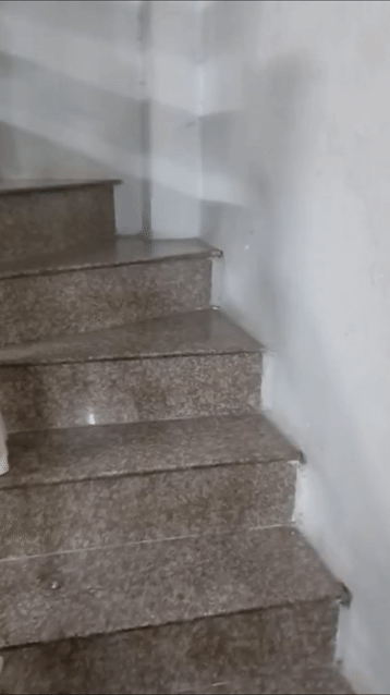 Cho thuê Phòng trọ Quận 11 Tp Hồ Chí Minh diện tích 20 m² giá 1,5 triệu/tháng