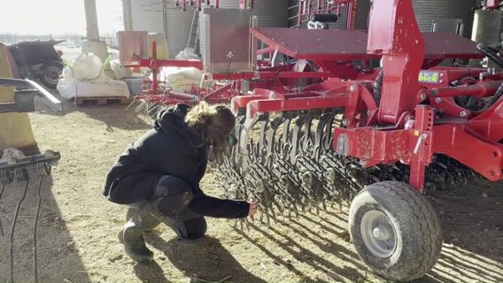 Un rêve de petite fille