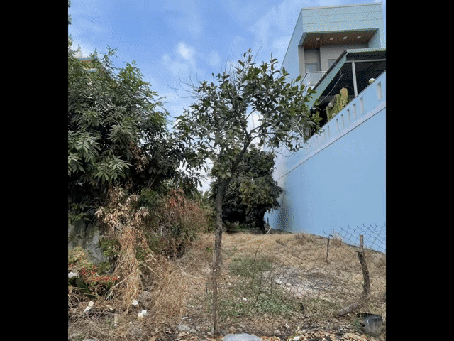 Mua bán Đất Thành phố Tây Ninh Tây Ninh diện tích 263 m² giá 5,2 tỷ