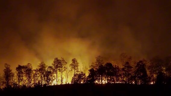 Ingénieur : un métier qui fait mouche