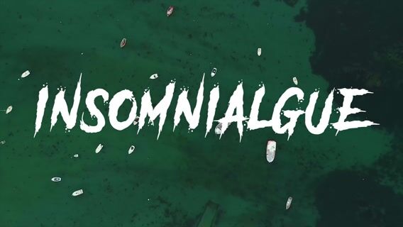 Insomnialgue