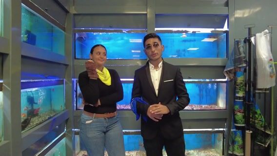 L' animalerie en folie