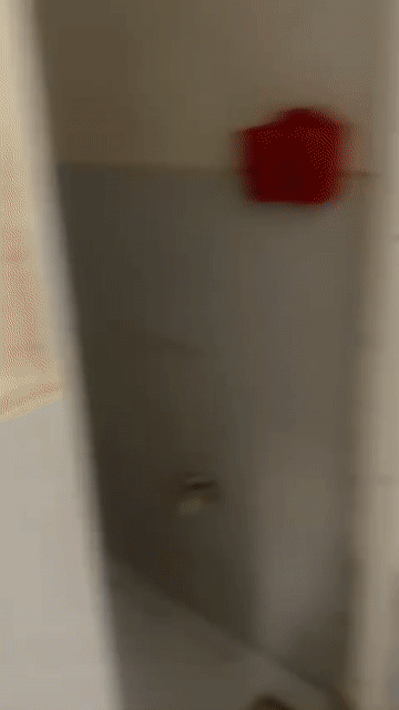 Cho thuê Phòng trọ Thành phố Thủ Đức Tp Hồ Chí Minh diện tích 18 m² giá 1,8 triệu/tháng