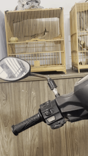 Chim chào mào bẫy đấu. Mua bán Chim tại Quận Bình Tân Tp Hồ Chí Minh được đăng bởi Trưởng Trần hình 1