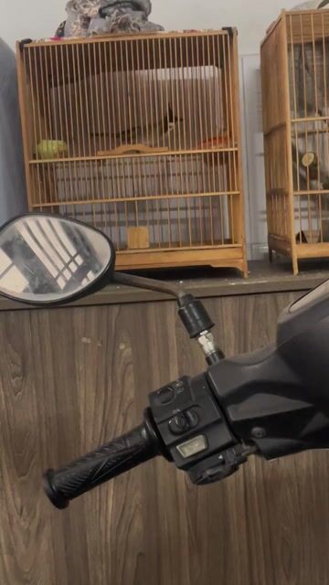 Chim chào mào bẫy đấu. Mua bán Chim tại Quận Bình Tân Tp Hồ Chí Minh được đăng bởi Trưởng Trần hình 1