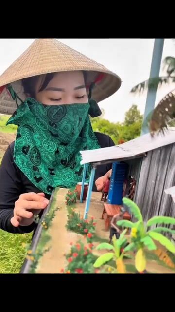 Mô hình nhà trang trí. Mua bán Cây cảnh, đồ trang trí tại Huyện Lai Vung Đồng Tháp được đăng bởi Duy Tân hình 1