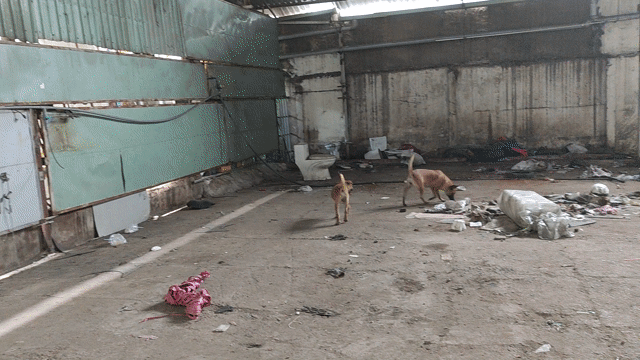 Cho thuê Văn phòng, Mặt bằng kinh doanh Huyện Hóc Môn Tp Hồ Chí Minh diện tích 400 m² giá 20 triệu/tháng