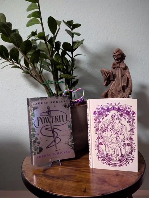 Ein Perspektivenwechsel. So schön zu lesen. Da ich den zweiten Teil schon gelesen hatte, wusste ich wie es ausgeht. Aber es aus dieser Perspektive zu lesen, das hat mir das Herz gebrochen. Es ist einfach nicht fair, was da passiert.