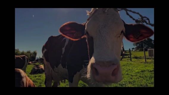 Les différents métiers au sein de l'agriculture.