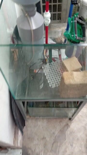 Thanh lý 2 bể cá và đèn vll. Mua bán Phụ kiện, Thức ăn, Dịch vụ tại Quận 8 Tp Hồ Chí Minh được đăng bởi Phạm Quốc Cường hình 1