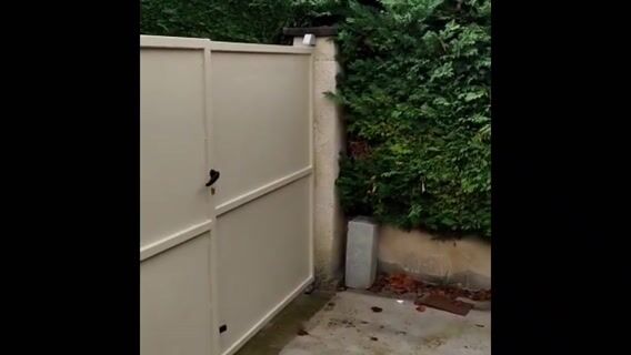 UN ANNIVERSAIRE PRESQUE PARFAIT