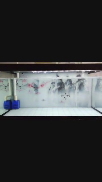 Hồ cá cảnh KT: 80x40x40cm. Mua bán Phụ kiện, Thức ăn, Dịch vụ tại Huyện Trảng Bàng Tây Ninh được đăng bởi CÁ CẢNH TB hình 1