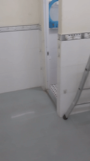 Cho thuê Phòng trọ Quận 11 Tp Hồ Chí Minh diện tích 10 m² giá 1,6 triệu/tháng