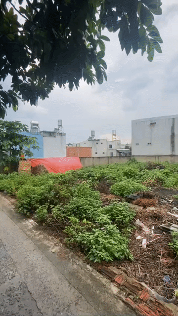 Mua bán Đất Thành phố Biên Hòa Đồng Nai diện tích 60 m² giá 1,38 tỷ