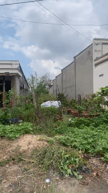 Mua bán Đất Huyện Gò Dầu Tây Ninh diện tích 345 m² giá 1 tỷ