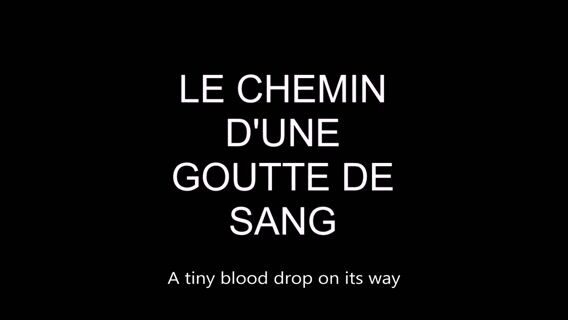 le chemin d'une goutte de sang