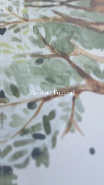 A taste of the Middle East in Funchal: video from Zaytun Levant Cuisine, Madeira