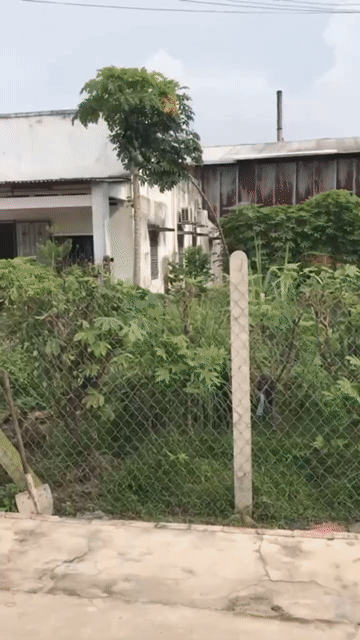 Mua bán Đất Huyện Gò Dầu Tây Ninh diện tích 200 m² giá 1,2 tỷ