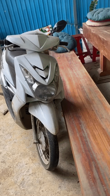 Yamaha Mio Ultimo màu Trắng. Mua bán Xe máy tại Huyện Núi Thành Quảng Nam được đăng bởi Quang Nhan hình 1