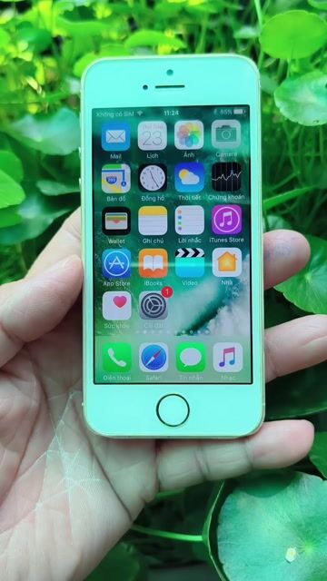 Apple iPhone 5S 32GB Vàng đồng. Mua bán Điện thoại tại Huyện Tân Trụ Long An được đăng bởi Trần Minh hình 1