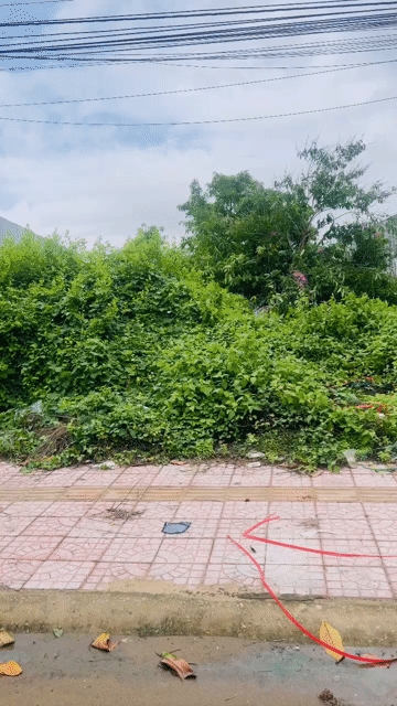 Mua bán Đất Thành phố Bạc Liêu Bạc Liêu diện tích 300 m² giá 1,25 tỷ