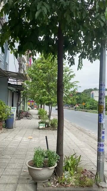 Kia Carnival 2023 Signature 2.2D - 50000 km. Mua bán Ô tô tại Quận Cầu Giấy Hà Nội được đăng bởi Nguyễn Trọng Khánh hình 1