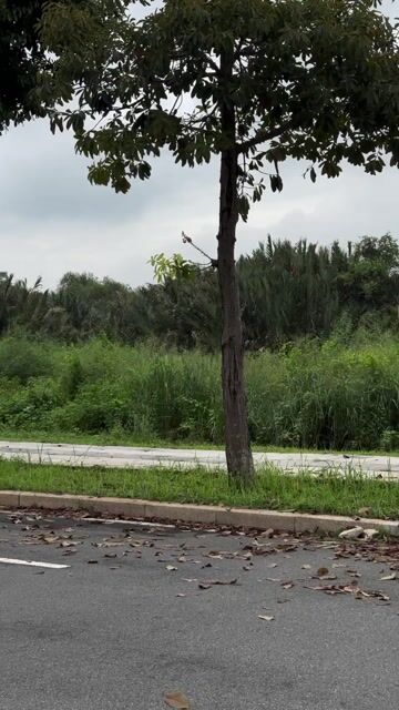 🎇Cx5 2.5 Signature 1 cầu 2020 chất xe rất đẹp. Mua bán Ô tô tại Quận Bình Thạnh Tp Hồ Chí Minh được đăng bởi phúc hình 1