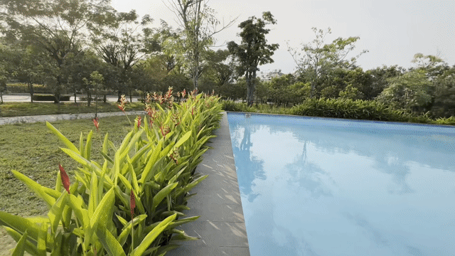 Cho thuê Phòng trọ Thành phố Thủ Đức Tp Hồ Chí Minh diện tích 35 m² giá 2 triệu/tháng