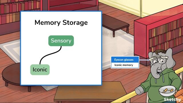 implicit memory cartoon