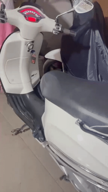 Piaggio Vespa Sprint 2024 Trắng, mới đi 6.500km. . Mua bán Xe máy tại Huyện Bình Chánh Tp Hồ Chí Minh được đăng bởi Trang Đài hình 1