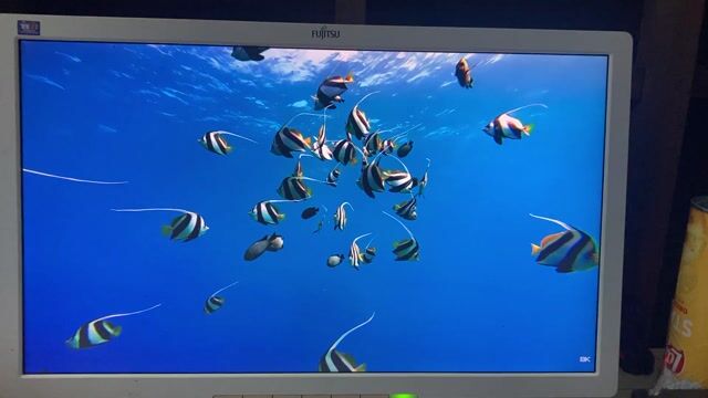Màn hình Fujitsu 24 inch Full HD 60Hz Trắng. Mua bán Phụ kiện (Màn hình, Chuột...) tại Huyện Bến Lức Long An được đăng bởi Quang Duy hình 1